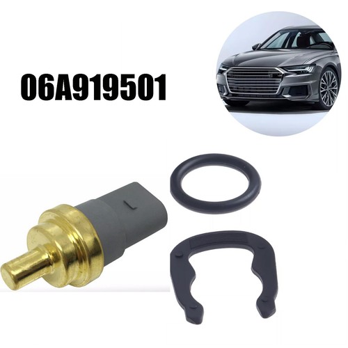 06A919501A